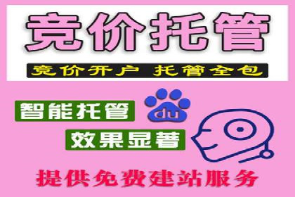 成功案例：竞价SEM托管助力品牌营销